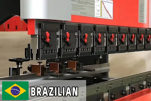 Brazilian Client