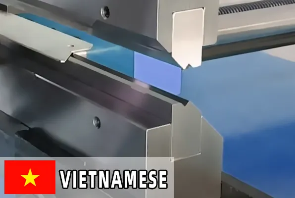 Vietnamese Client